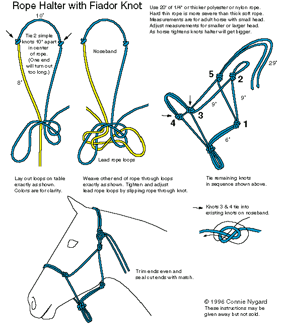 Free Instructions on How to Make a Rope Halter
