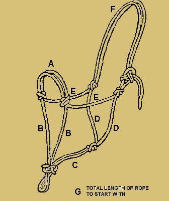 Rope Halter