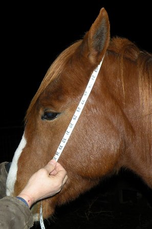 Poll Length Rope Halter Calculator